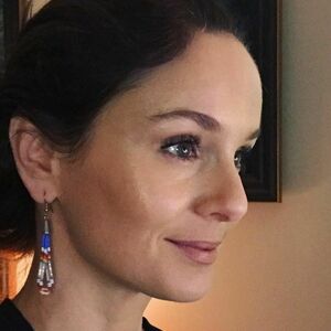 Sarah Wayne Callies